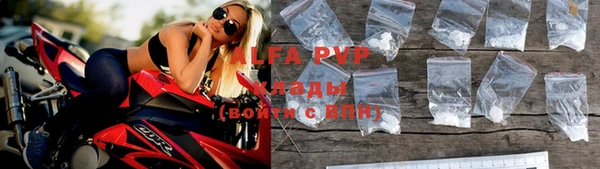 индика Заволжье