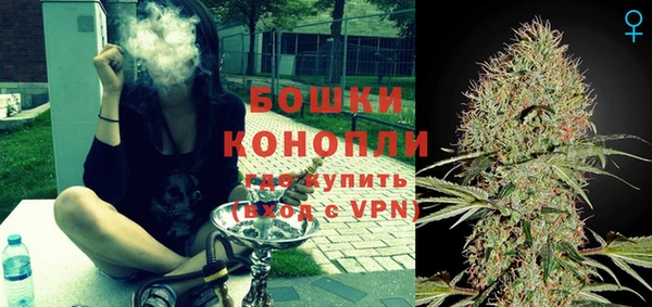 индика Заволжье