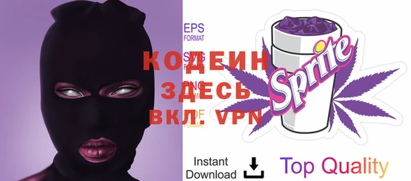 индика Заволжье
