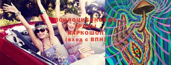 индика Заволжье