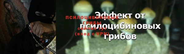 индика Заволжье