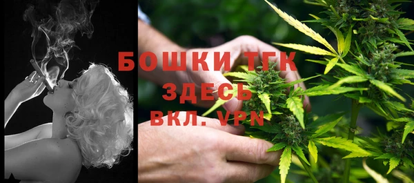 индика Заволжье