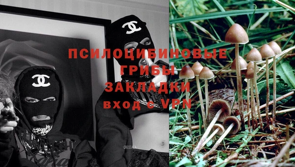 индика Заволжье