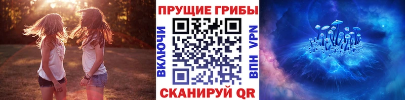 Псилоцибиновые грибы прущие грибы  Купить  Козловка 