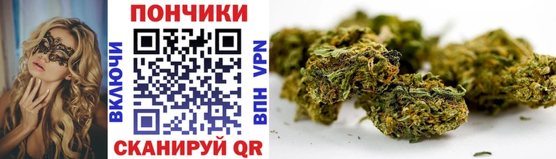 Купить  Козловка  Каннабис сатива 